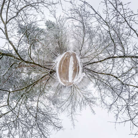 Winter tiny planet in snow covered forest. transformation of spherical panorama 360 degrees....