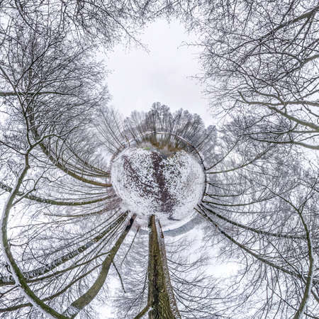 Winter tiny planet in snow covered pinery forest. transformation of spherical panorama 360 degrees. Spherical abstract aerial view in forest. Curvature of space.の写真素材