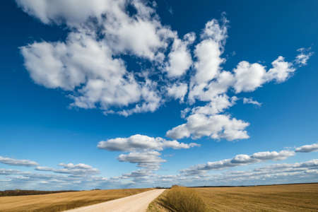 landscape with Blue sky background and big white tiny stratus cirrus striped cloudsの写真素材