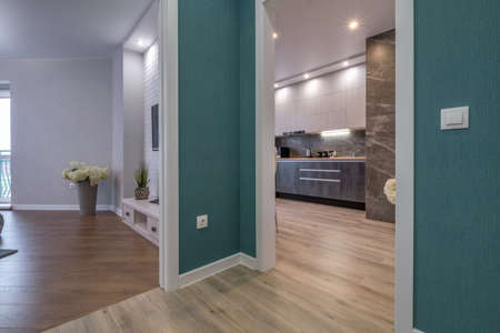 empty corridor in interior of entrance hall of modern apartments overlooking the kitchen and bedroom