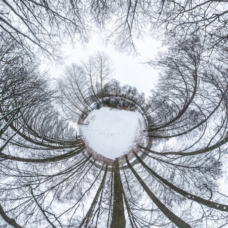 Winter tiny planet in snow covered pinery forest with transformation of spherical panorama 360 degrees in abstract aerial view in forest. Curvature of spaceの写真素材