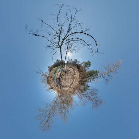 autumn tiny planet transformation of spherical panorama 360 degrees. Spherical abstract aerial view in forest with clumsy branches. Curvature of space.の写真素材