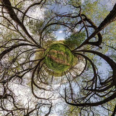 autumn tiny planet transformation of spherical panorama 360 degrees. Spherical abstract aerial view in forest with clumsy branches. Curvature of space.の写真素材