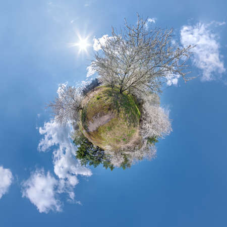 spring tiny planet transformation of spherical panorama 360 degrees. Spherical abstract aerial view in cherry blooming garden. Curvature of space.の写真素材