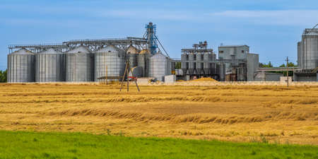 agro silos granary elevator with seeds cleaning line on agro-processing manufacturing plant for processing drying cleaning and storage of agricultural products in rye corn or wheat fieldの写真素材