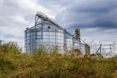 agro silos granary elevator with seeds cleaning line on agro-processing manufacturing plant for...
