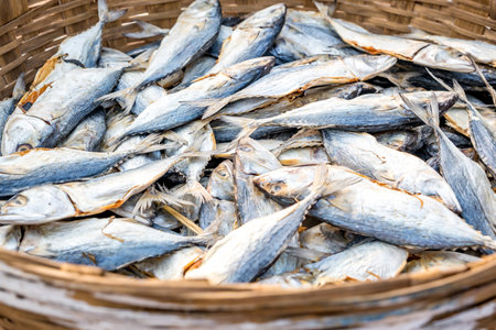 rows of drying mackerel or saba fish on the road by the ocean in an Indian village. poor areas of goaの写真素材