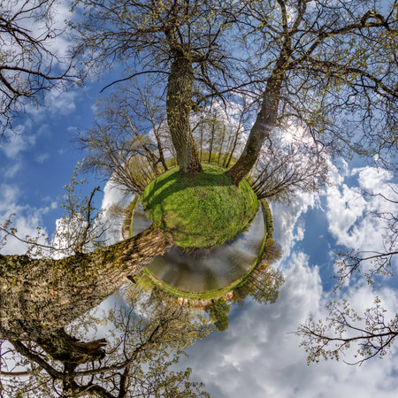 tiny planet transformation of spherical panorama 360 degrees. Spherical abstract aerial view with trees in forest with clumsy branches in blue sky. Curvature of space.の写真素材