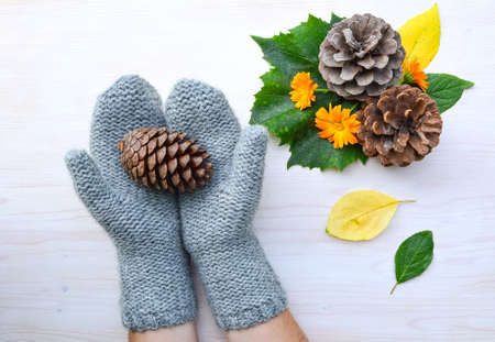 Hands wearing knitted mittens and holding pine cone