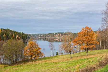 View of The Lake Nuuksio in autumn, Espoo, Finlandの写真素材