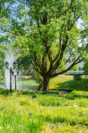View of the Bastion Hill Park in summer, Riga, Latviaの写真素材