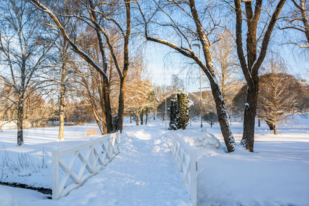 View of The Pumpviken park in winter, wooden bridge and trees, Karjaa, Raseborg, Finland