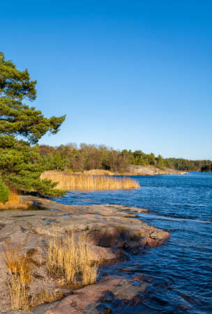 Coastal view of Porkkalanniemi, rocks, plants and Gulf of Finland, Kirkkonummi, Finlandの写真素材