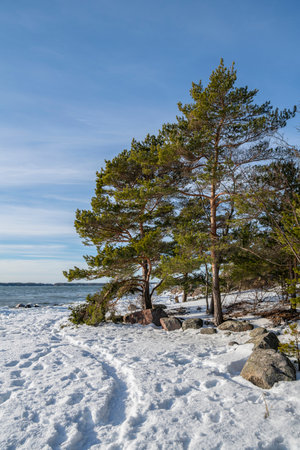 View of the coast in winter, Kopparnas, Inkoo, Finlandの写真素材
