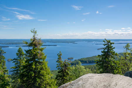Trees on The Ukko-Koli Hill and view to Lake Pielinen on the background, Koli National Park, North Karelia, Finlandの写真素材