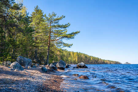 View of the shore and The Lake Saimaa, Sarviniemi, Taipalsaari, Finlandの写真素材
