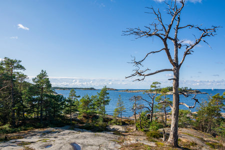 The rocky view of Porkkalanniemi and view to the Gulf of Finland, Kirkkonummi, Finlandの写真素材
