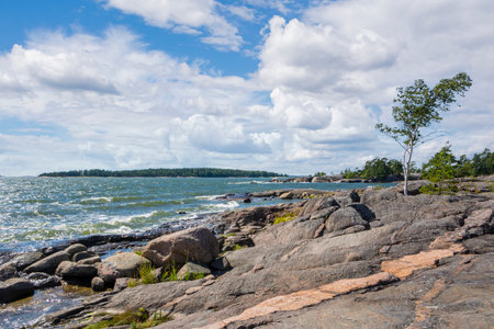 Coastal view of Pihlajasaari island, rocks and Gulf of Finland, Helsinki, Finlandの写真素材