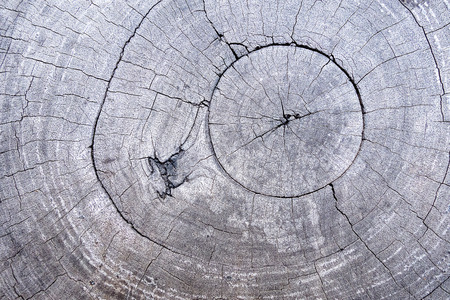 Real hardwood cracks textured background for creative design and all inspirationsの写真素材