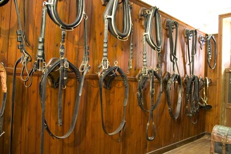 the detail of the equipment of horse settlersの写真素材