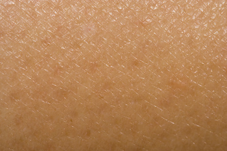 a macro of human skin patternの写真素材