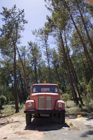 an old firetruck on the forest