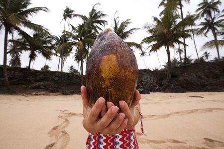 woman at the beach holding a coconut in from of her headの写真素材