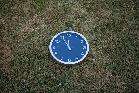 wall clock over the green grass at midday (selective focus)の写真素材