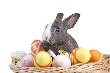 Easter rabbit inside a basket full of painted easter eggs  (isolated on white)