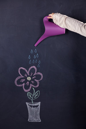 Woman watering a plant draw in a chalkboardの写真素材
