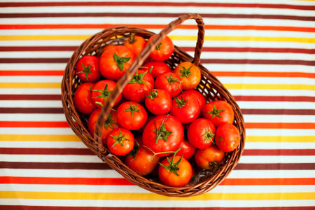 Tomatoes from a rustic farmの写真素材