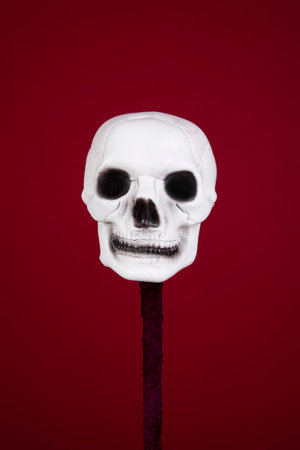 White skull with a red backgroundの写真素材