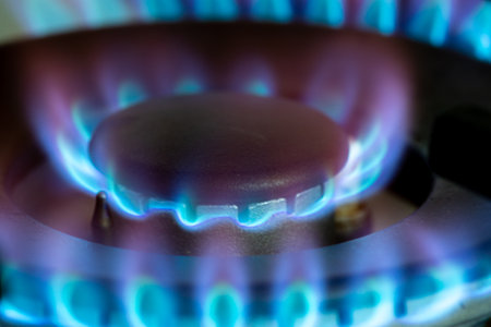Gas burning with blue flames on the burner of a gas stove. Concept of carbon footprint and price of...