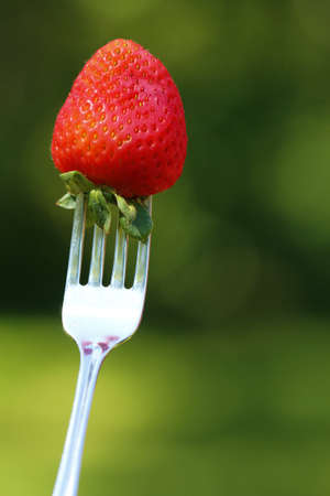 A bright red strawberry on a fork with a green backgroundの写真素材