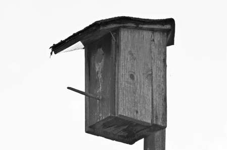 birds nestboxの写真素材