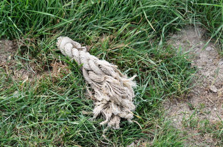 cable endingの写真素材