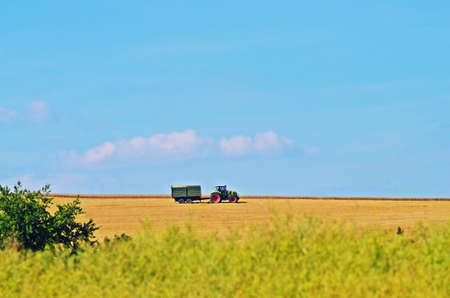 Grain Harvestの写真素材