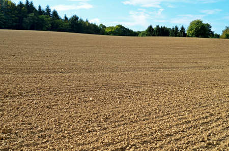 edited vast fields