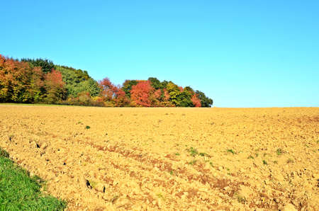 fields and blue skyの写真素材