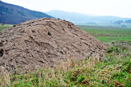 deposit of sandの写真素材