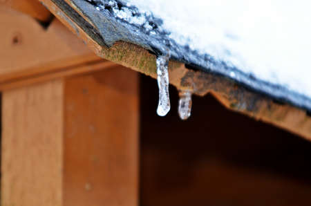 frozen snow on roof of bird-nest