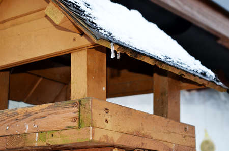 birdfood stationの写真素材