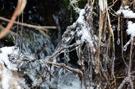 frozen water of a small creek