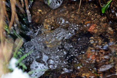 whitewater of a small creek