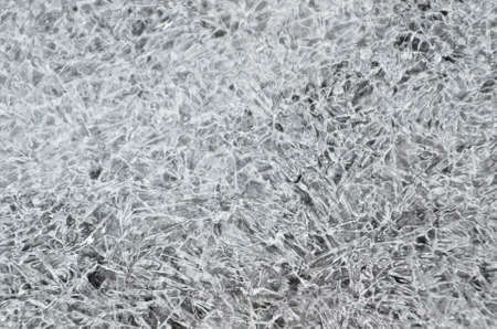 frozen plants and iciclesの写真素材