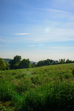 summer landscape with green meadow and blue sky, nature seriesの写真素材