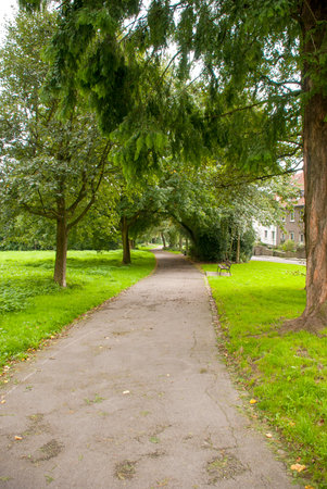 Walking path in the park with trees and grass in the foregroundの写真素材