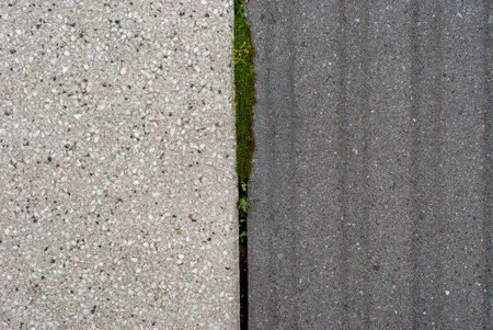 Concrete floor and green grass as background. Close-up.の写真素材