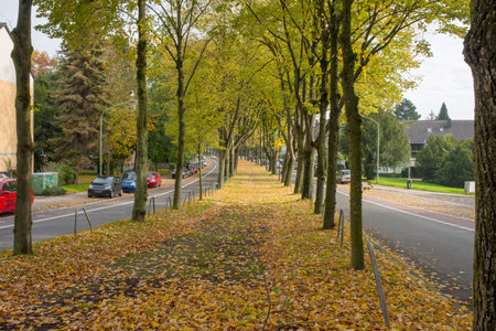 Autumnal alley in the city center of Leipzig, Germanyの写真素材