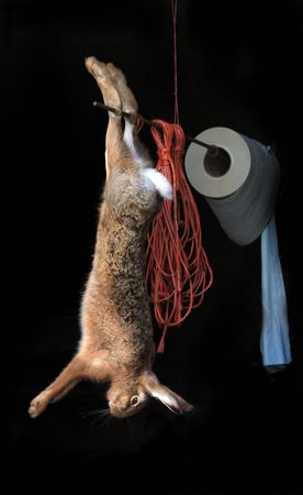 A Hung hare In A Game Larderの写真素材
